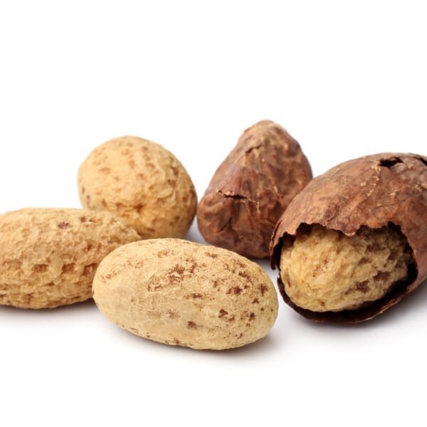 Bitter Kola (Orogbo) - West African Kolanut Seed - 50g - 50g