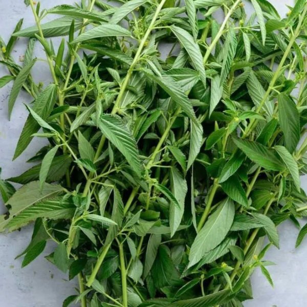 Jute Leaves (Ewedu/Molokhia) - Draw Soup Vegetable - 100g